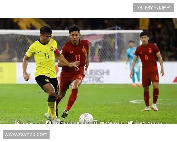 外国球星眼中的越南国家足球队发展与挑战分析