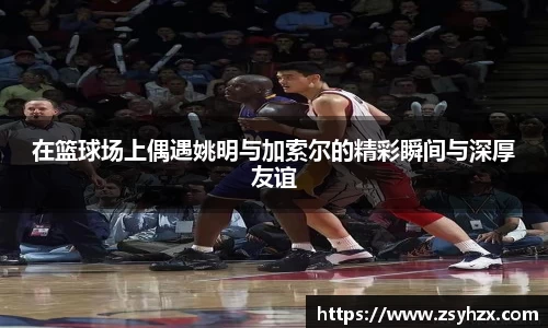 在篮球场上偶遇姚明与加索尔的精彩瞬间与深厚友谊