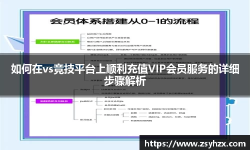如何在vs竞技平台上顺利充值VIP会员服务的详细步骤解析